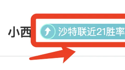 篮球赛事解析：老鹰对尼克斯赛况详解